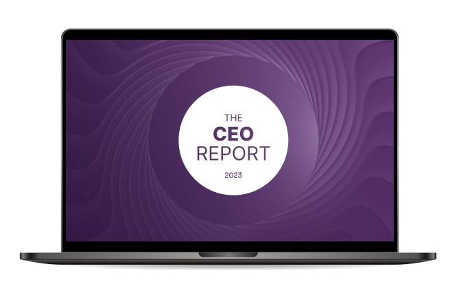 ceo-report-mockup